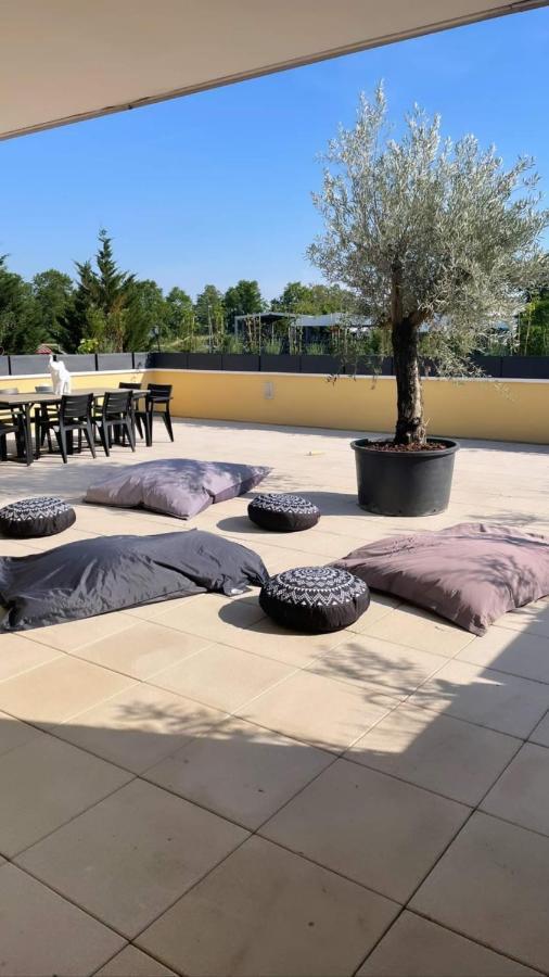 Апартаменти La Terrasse Du Parc Маркольсайм Екстер'єр фото